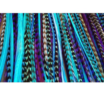 Feather Hair Extensions, 100% Real Rooster Feathers, 20 Long Thin Loose Individual Feathers, By Feather Lily