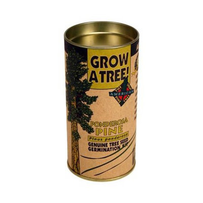 Jonsteen Company Tree Seed Kit: Ponderosa Pine - Seeds, Instructions, Starter Soil, Grow Dome
