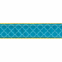 Country Brook Design® Classy Chic Ribbon Double Sided Dog Leash