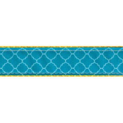 Country Brook Design® Classy Chic Ribbon Double Sided Dog Leash