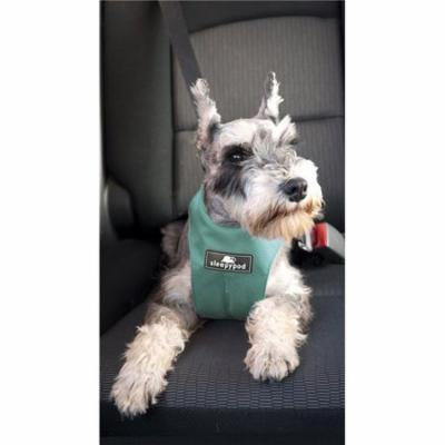 Sleepy Pod CS-ROB-XL Clickit Sport Crash-Tested Car Safety Dog Harness - Robin Egg Blue, Extra Large