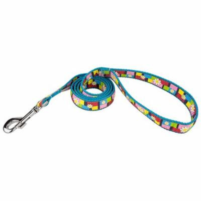 Country Brook Design® 1 Inch Spring Daisies on Ice Blue Double Sided Leash - 6 Foot