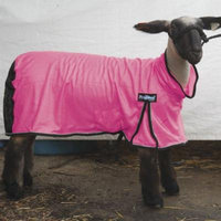 Weaver Leather ProCool Mesh Sheep Blanket Medium Hot Pink M Hotpink
