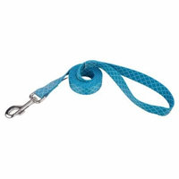 Country Brook Design® 1 Inch Classy Chic Dog Leash - 6 Foot