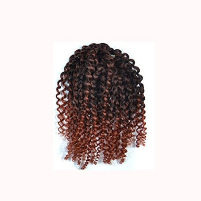 AMA(TM) Afro Kinky Curly Ombre Wigs for Black Women Jerry Curl Short Twist Crochet Braids Bob Synthetic Hair (C)