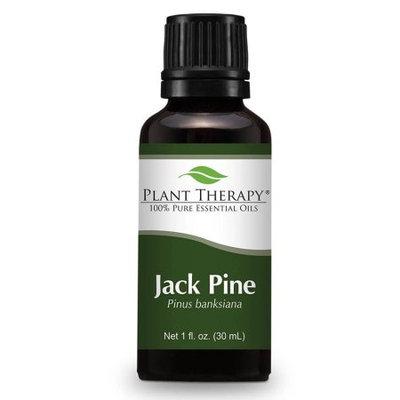 Plant Therapy Jack Pine Essential Oil 30 mL (1 fl. oz.) 100% Pure, Undiluted, Therapeutic Grade