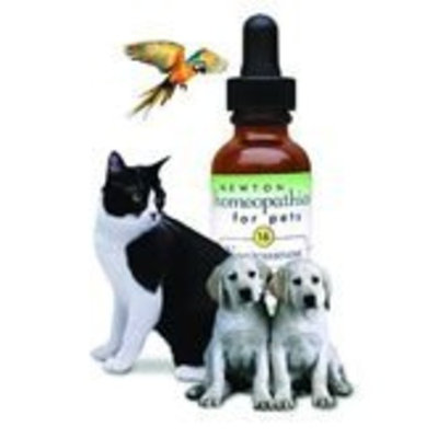 ton Homeopathics Skin Care for Dogs and Cats
