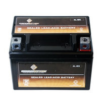 YTX4L-BS High Performance Power Sports Battery