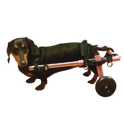 Handicappedpets.com Dog Wheelchair For Small Dogs 8-25 lbs Pink - By Walkin' Wheels