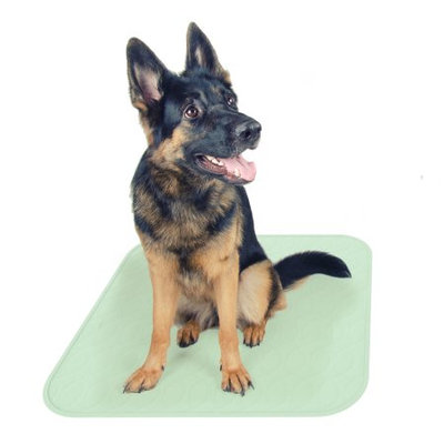 Trademark Global Games Puppy Pads Pet Training Mat- Quick Absorb, Waterproof, Machine Washable, Reusable- Dog Housebreaking, Training, Crate Supplies, 30â x 32â By PETMAKER