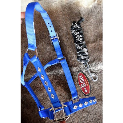 Horse Nylon HALTER Lead Rope Bling Tack Noseband 60693