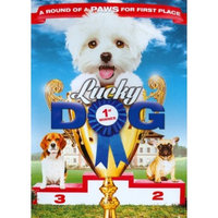 Lucky Dog