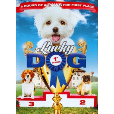 Lucky Dog