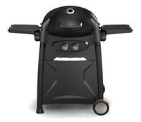 Broilchef Broil Chef R2-3300 2-Burner LP Gas Grill with Cart