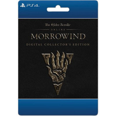 Incomm Sony Elder Scrolls Online: Morrowind: CE Game (email delivery)