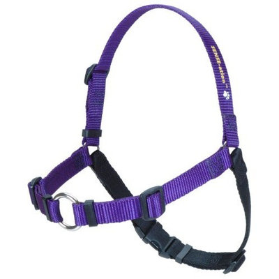 The Original SENSE-ation No-Pull Dog Training Harness