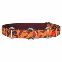 Country Brook Design® Thanksgiving Feast Ribbon Martingale Collar