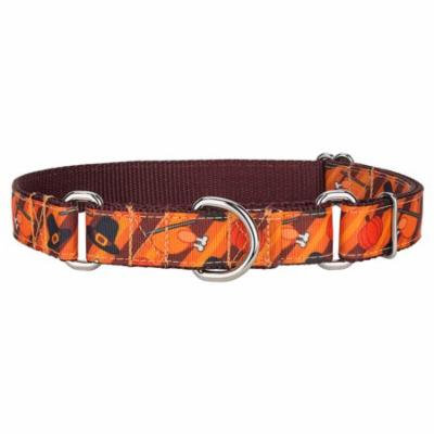 Country Brook Design® Thanksgiving Feast Ribbon Martingale Collar