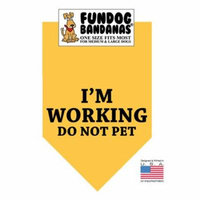 Fun Dog Bandana - I'm Working Do Not Pet - One Size Fits Most for Med to Lg Dogs, gold pet scarf
