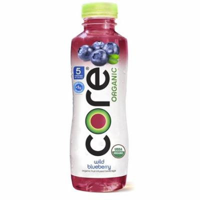 Core Organic WILD BLUEBERRY 18 Oz Pack of 12