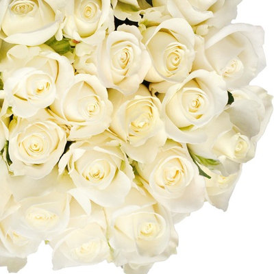 Natural Fresh Flowers - White Roses, 20