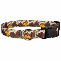 Country Brook Design® Deluxe Pilgrim Turkey Dog Collar
