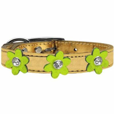 Metallic Flower Leather Collar Gold With Metallic Lime Green Flowers Size 14