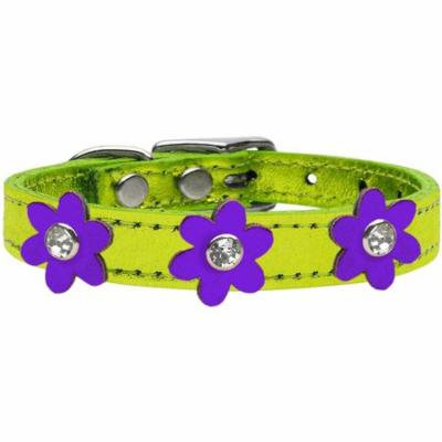 Metallic Flower Leather Collar Metallic Lime Green With Metallic Purple Flowers Size 24