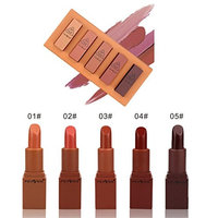 Fheaven Womens 5 Piece Lipstick Beauty Waterproof Long Lasting Lip Matte Lipstick Lip Gloss Makeup Set Best Gift