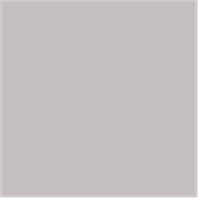 Riverside 9 x 12 in. Groundwood Pulp Heavyweight Recycled Construction Paper, Gray, Pack - 50