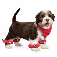 Dog Scarf and Scrunchies Set with Bells, Small