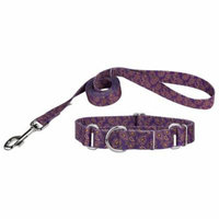 Country Brook Design® Purple Paisley Martingale Dog Collar & Leash