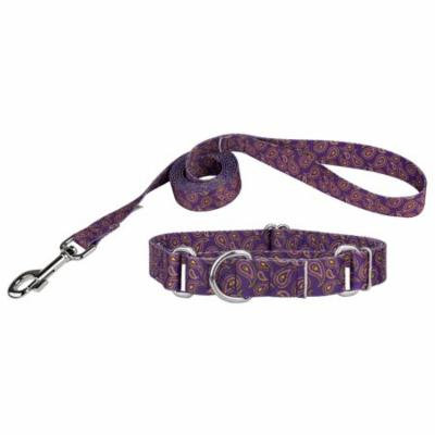 Country Brook Design® Purple Paisley Martingale Dog Collar & Leash