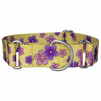 Country Brook Petz™ 1 1/2 Inch Purple April Blossoms Martingale Dog Collar