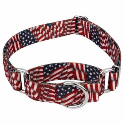 Country Brook Petz™ 1 1/2 Inch Patriotic Tribute Martingale Dog Collar