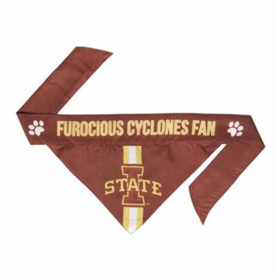 Little Earth Iowa State Dog Bandana- Tie On - Small