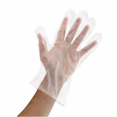 Royal Disposable Poly Gloves, Small, 500 Ct