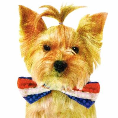 Red White and Blue Sequin Pet Bowtie (Medium/Large)
