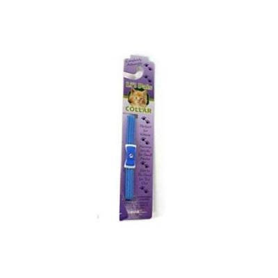 Lil Pals Bow Buckle Adjustable Kitten Collar, Blue, 2Pack