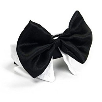 Platinum Pets Formal Pet Bow Tie and Collar, 9 to 10-Inch, White