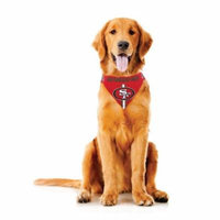 San Francisco 49ers Dog Bandanna Size S