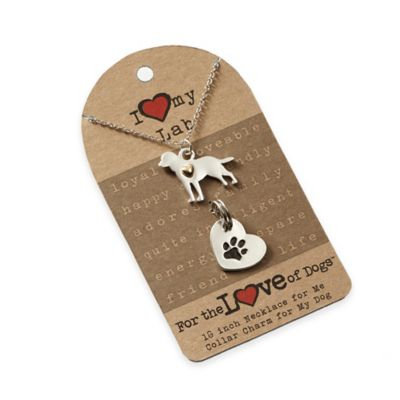 For the Love of Dogs Labrador Retriever Necklace and Pet Charm Set in Silver/Gold