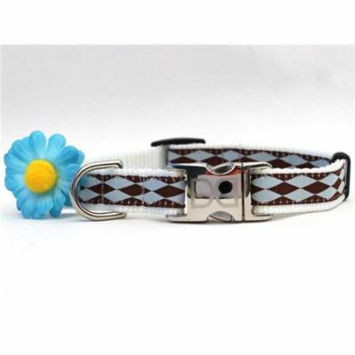 Diva Dog UBS133 Gerber Daisy Blue Dog Collar - Teacup Sized