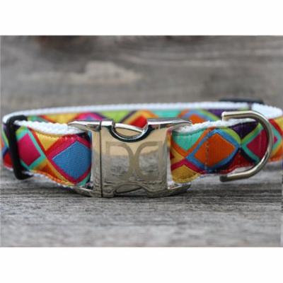 Diva Dog UBS272 Tanzania Bright Dog Collar - Extra Large Sized