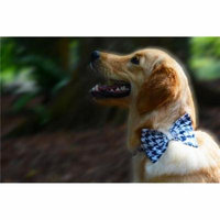 Heads Up for Tails HUFTAC 167 Navy Hounds Tooth Dog Bow Tie, Extra Large