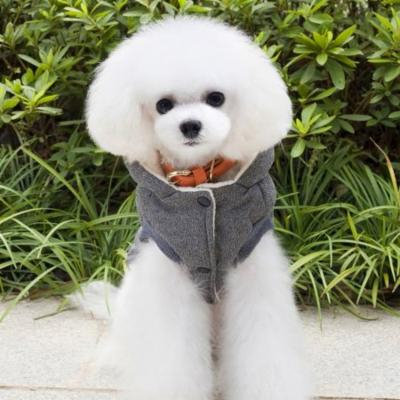Hot Sale New Pet Dog Winter Hooded Coat Two Feet Cotton-padded Clothes With Mustache Pattern(Grey)