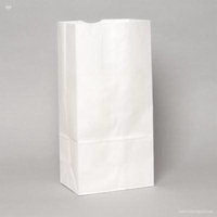 6 lb. Recycled White Paper Bag - 500 per pack