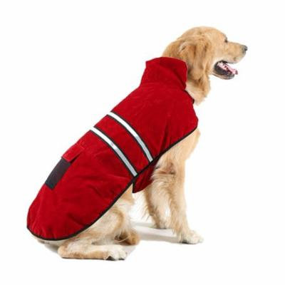 Double - layer warm dog fluorescent clothing 2017 trend style