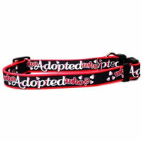 DOG COLLAR WHO ADPT WHO MD 14-