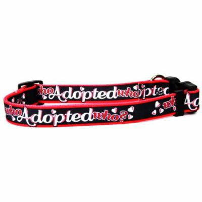 DOG COLLAR WHO ADPT WHO MD 14-